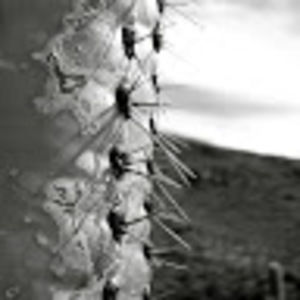 Meet your Posher, Liza